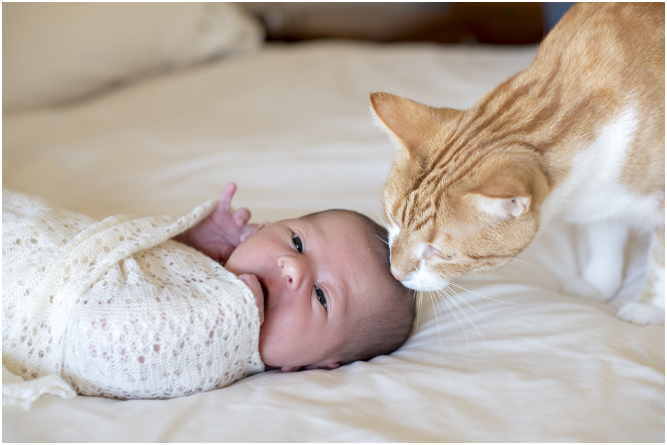 Camden Newborn Photographer, Camden Family Photographer, www.angieduncan.com.au